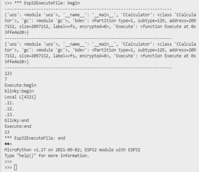  2201211909_Esp32ExecuteFileOutput.png